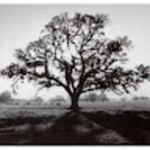 Meet your Posher, Tim